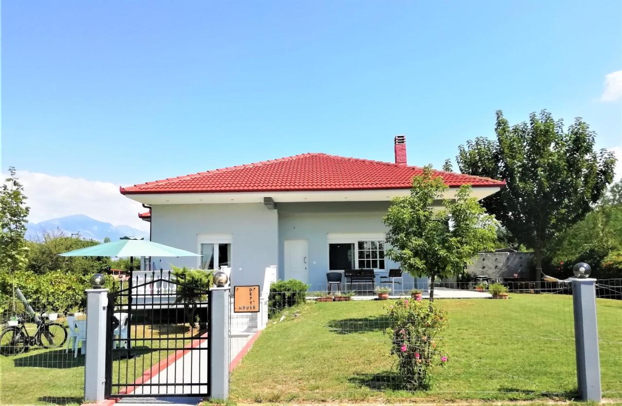 Appartement Deppy'S House Κοντά Στα Λουτρά Πόζαρ à Chrysi Extérieur photo