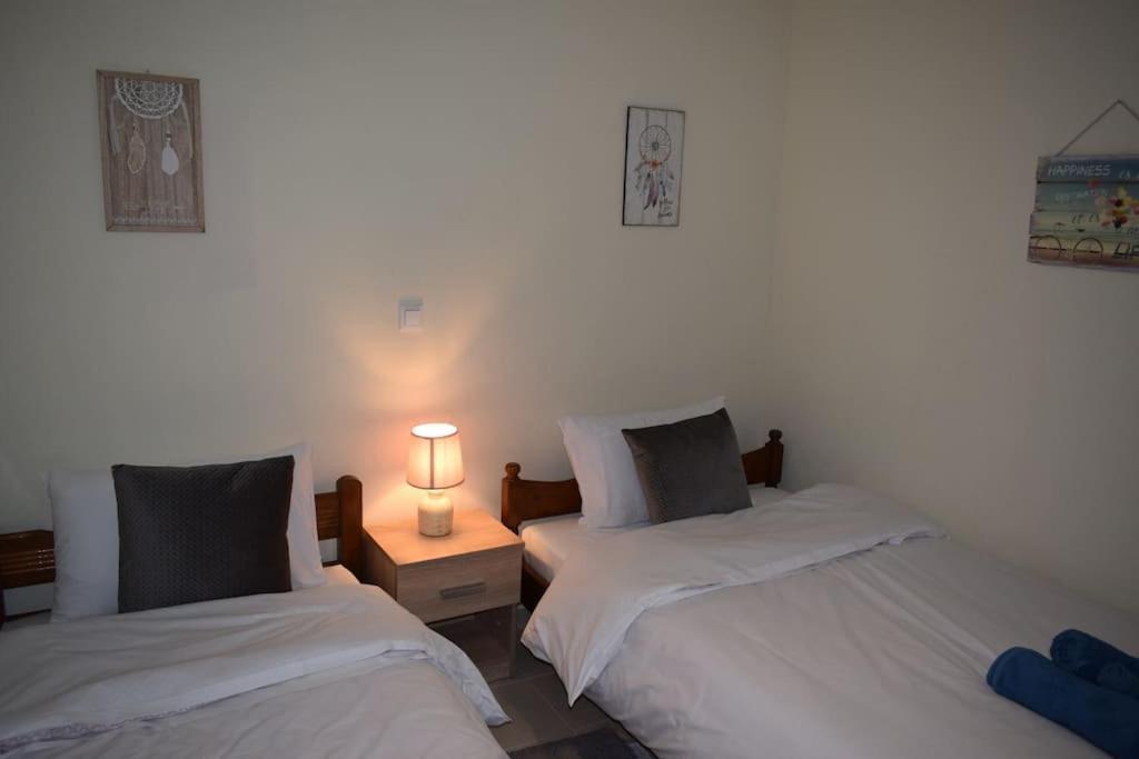 Appartement Deppy'S House Κοντά Στα Λουτρά Πόζαρ à Chrysi Extérieur photo