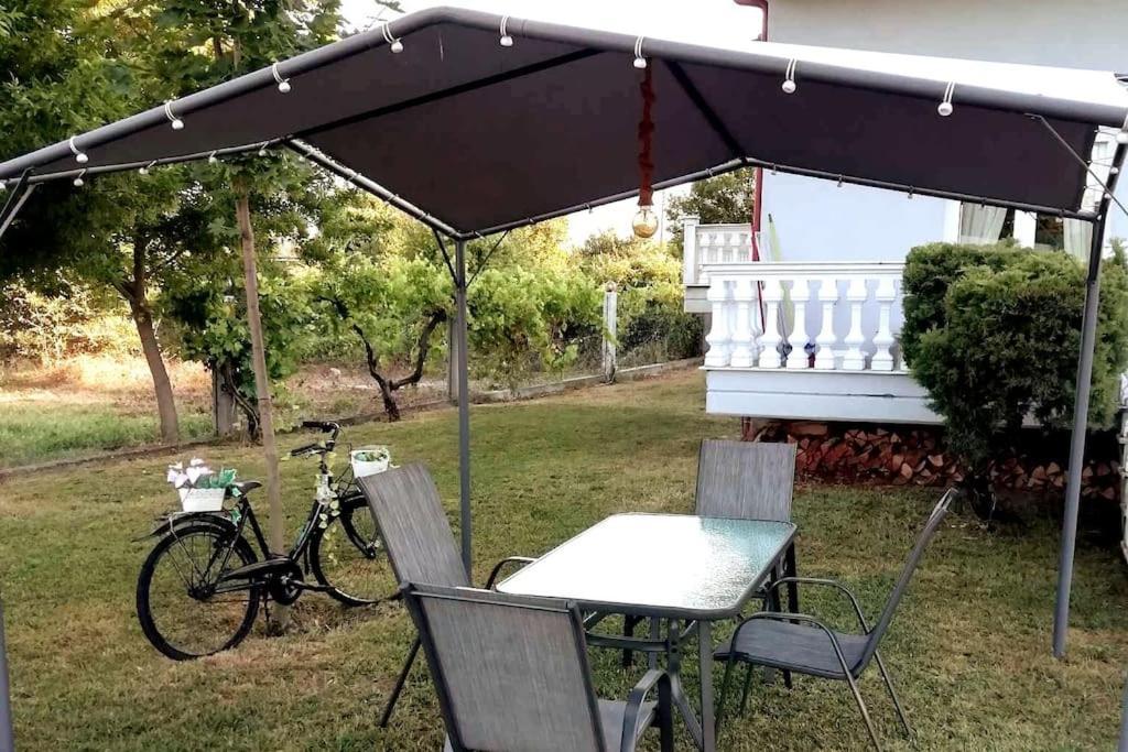 Appartement Deppy'S House Κοντά Στα Λουτρά Πόζαρ à Chrysi Extérieur photo